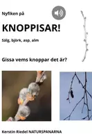förhandsvisning - KNOPPAR I TRÄDEN: sälg, björk, asp och alm. GISSA vems knoppar det är! - försättsblad