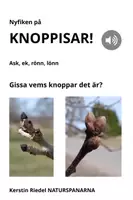 förhandsvisning - KNOPPAR I TRÄDEN: ask, ek, rönn och lönn. GISSA vems knoppar det är! - försättsblad