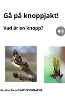 förhandsvisning - Gå på KNOPPJAKT i träden! - försättsblad