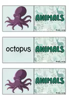 anteprima - Giochi - Trova la coppia di animali - Animals Find the Pair - Pagina 1