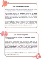 Vorschau - Arbeitsblätter - Organsysteme (Atmungssystem, Nervensystem, Verdauungssystem, Blutkreislaufsystem) - Seite 1
