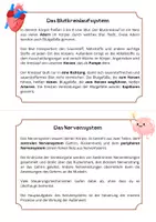 Vorschau - Arbeitsblätter - Organsysteme (Atmungssystem, Nervensystem, Verdauungssystem, Blutkreislaufsystem) - Seite 2