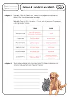 Vorschau - Arbeitsblätter - Heimtiere: Hund und Katze - der Vergleich - Seite 3