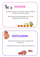 Vorschau - Text - Tafelbilder/Texte Kennzeichen des Lebens - Seite 2