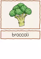 Vorschau - Bildkarten - Flashcards (Bild- und Wortkarten) food (lunch, fruit, vegetables und mehr) - Seite 3