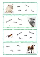 Vorschau - Fördermaterial/Inklusion - Schüttelsätze (Wissen über Tiere) - Seite 3