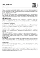 Vorschau - Arbeitsblätter - Attila der Hunne (Informationen und Übungen) - Deckblatt