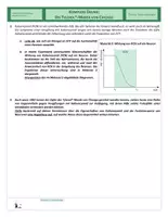 Vorschau - Arbeitsblätter - Neurobiologie - Komplexe Übung - Tylenol-Morde von Chicago - Seite 2