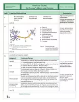 Vorschau - Arbeitsblätter - Neurobiologie - Komplexe Übung - Tylenol-Morde von Chicago - Seite 3