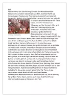 Vorschau - Arbeitsblätter - Unsere Meere in Gefahr Texte Aufgaben Lösung (Überfischung, Ölkatastrophen und Müll) - Seite 3