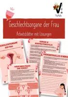 Vorschau - Arbeitsblätter - Materialpaket Geschlechtsorgane und Pubertät - Seite 1