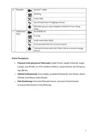 Vorschau - Arbeitsblätter - Animals of Australia Writing, Tenses + Lösung - Seite 1