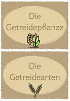 Vorschau - Unterrichtsreihen - Reihentransparenz "Vom Korn zum Brot" - Deckblatt