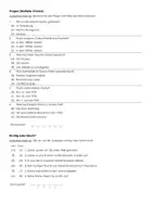 Vorschau - Arbeitsblätter - Maksim Gorky (Infotext und Übungen) - Seite 2