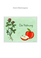 Vorschau - Arbeitsblätter - Schmetterling Nahrung - Seite 3