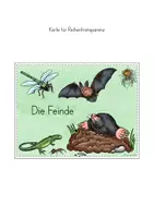 Vorschau - Stundenentwürfe - Schmetterling Feinde - Seite 3