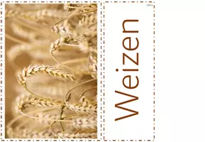 Vorschau - Unterrichtsreihen - Vom Korn zum Brot Materialpaket - Seite 3