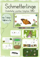 Vorschau - Präsentationen/Tafelbilder - Schmetterlinge - Distelfalter züchten (digitale Tafel) - Deckblatt
