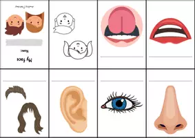 Vorschau - Arbeitsblätter - Faltbuch: my head - Seite 2