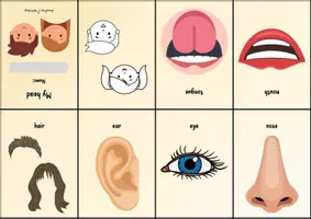 Vorschau - Arbeitsblätter - Faltbuch: my head - Seite 3