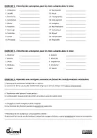 Vorschau - Arbeitsblätter - LE CARNAVAL DE BINCHE – Compréhension et expression écrite - Seite 3