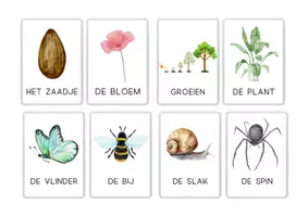 Voorbeeld - Kriebeldieren achtergronden + woordkaarten - Pagina 3