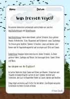 Vorschau - Text - Was fressen Vögel? - Weichfutter- & Körnerfresser (Sachtext) - Seite 1