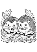 Vorschau - Arbeitsblätter - Ausmalbilder Igel - Seite 3