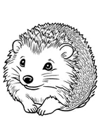 Vorschau - Arbeitsblätter - Kunst Igel Ausmalbilder Bilder ausmalen Malbuch - Seite 2