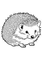 Vorschau - Arbeitsblätter - Kunst Igel Ausmalbilder Bilder ausmalen Malbuch - Seite 3
