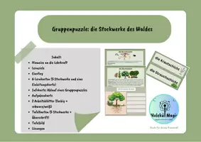 Vorschau - Arbeitsblätter - Gruppenpuzzle: Stockwerke des Waldes - Deckblatt