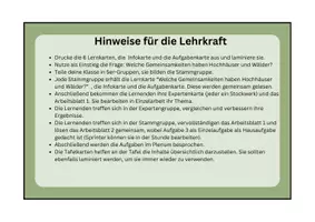 Vorschau - Arbeitsblätter - Gruppenpuzzle: Stockwerke des Waldes - Seite 1
