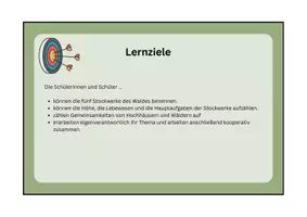Vorschau - Arbeitsblätter - Gruppenpuzzle: Stockwerke des Waldes - Seite 2