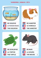 Voorbeeld - Dieren in 3 talen - leer Nederland, Frans en Engels. - Pagina 2