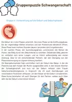 Vorschau - Merkblätter - Gruppenpuzzle Schwangerschaft - Seite 3