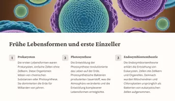 Vorschau - Fördermaterial/Inklusion - Präsentation: Evolution des Menschen – Eine faszinierende Reise als PDF und PowerPoint-Datei - Seite 3