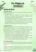 Vorschau - Unterrichtsreihen - Pflanzen | Botanik: Pflanzenaufbau – Der Aufbau der Blüte (5. & 6. Klasse, Nawi und Biologie) - Seite 2