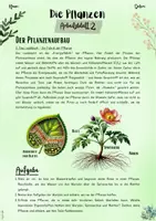 Vorschau - Unterrichtsreihen - XXL Materialpaket: Pflanzen | Botanik (5. & 6. Klasse, Nawi und Biologie) - 10 fertige Unterrichtsstunden mit Lösungen - Seite 3