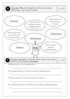 Vorschau - Arbeitsblätter - Leistungsnachweis "Leseverständnis" zum Thema "Grippewelle / Influenza" (Leseprobe inklusive Lösung) - Seite 3