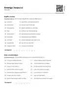 Vorschau - Arbeitsblätter - Amerigo Vespucci (Lückentext, Erklärvideo, Übungen) - Seite 2