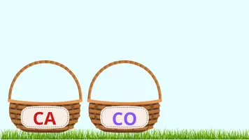 anteprima - Materiale di supporto/inclusione - Ripasso suoni duri e dolci della C - Pagina 2