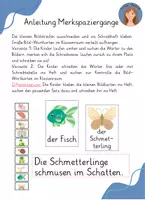 Vorschau - Arbeitsblätter - Schreibübung Merkspaziergang Sch/sch - Seite 1