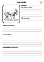 Vista previa - Hojas de trabajo - Protectores de los animmales. Día de la Vida Silvestre - página 3