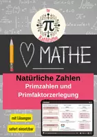 Vorschau - Arbeitsblätter - Primzahlen und Primfaktorzerlegung Matheflyer mit Lösungen - Deckblatt