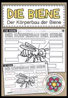 Vorschau - Arbeitsblätter - DIE BIENE - Der Körperbau der Biene (Arbeitsblatt) - Deckblatt