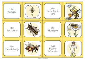 Vorschau - Spiele - DIE BIENE - Domino - Seite 2