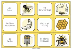 Vorschau - Spiele - DIE BIENE - Domino - Seite 3