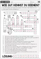 Vorschau - Arbeitsblätter - DIE BIENE - Kreuzworträtsel - Seite 2
