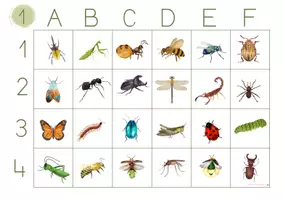 Vista previa - Juegos / Gamificación - LOS INSECTOS: Cuadro doble entrada. - página 3