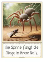Vorschau - Fördermaterial/Inklusion - INSEKTEN Bildkarten für die Satzbildung - Seite 2